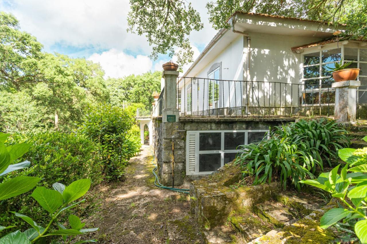 Quinta biológica, com vista, na Serra de Sintra Exterior foto
