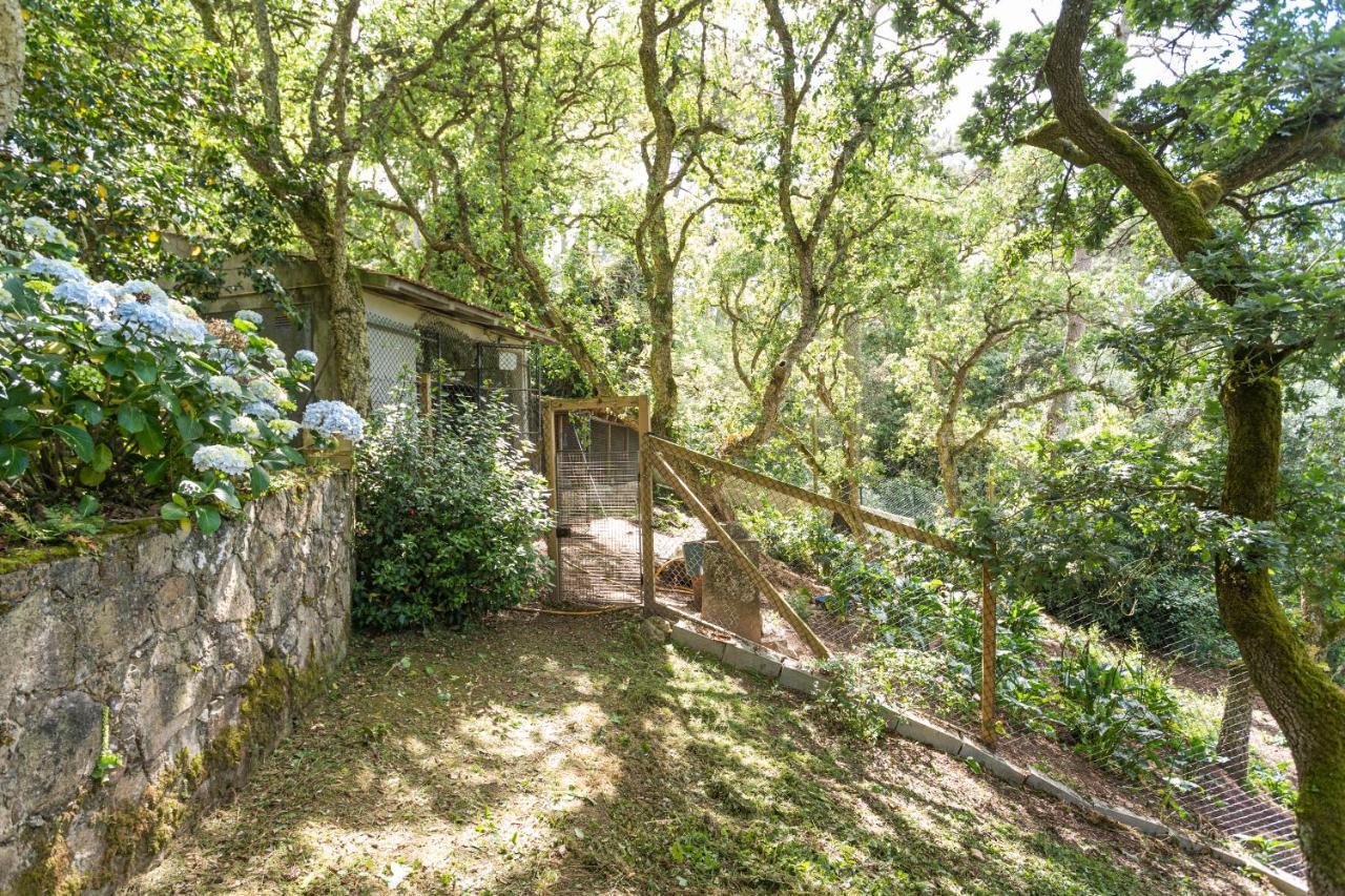 Quinta biológica, com vista, na Serra de Sintra Exterior foto