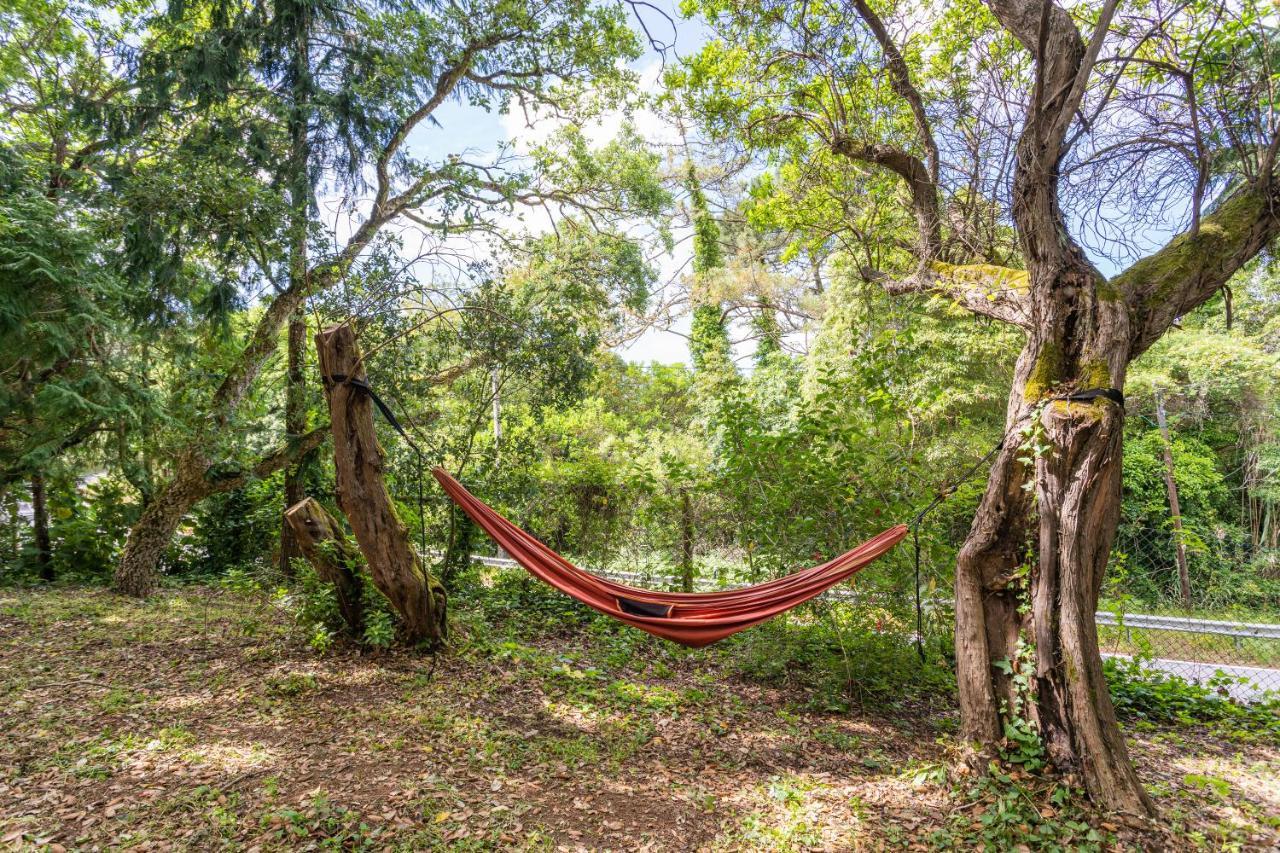 Quinta biológica, com vista, na Serra de Sintra Exterior foto