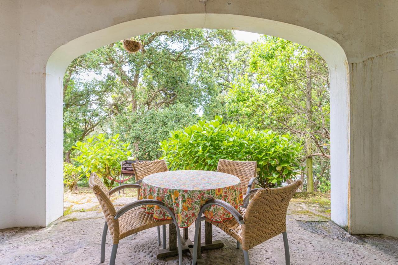 Quinta biológica, com vista, na Serra de Sintra Exterior foto