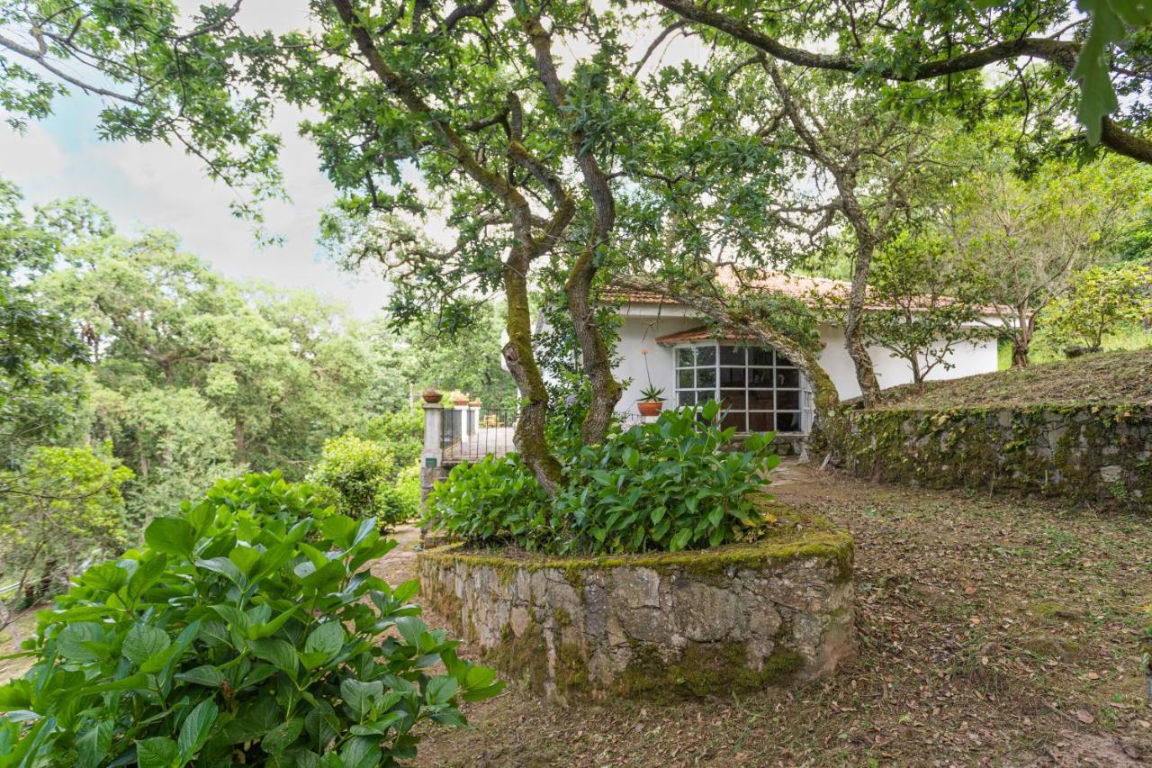 Quinta biológica, com vista, na Serra de Sintra Exterior foto