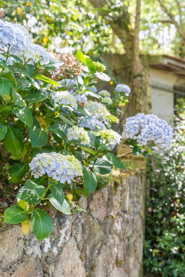 Quinta biológica, com vista, na Serra de Sintra Exterior foto