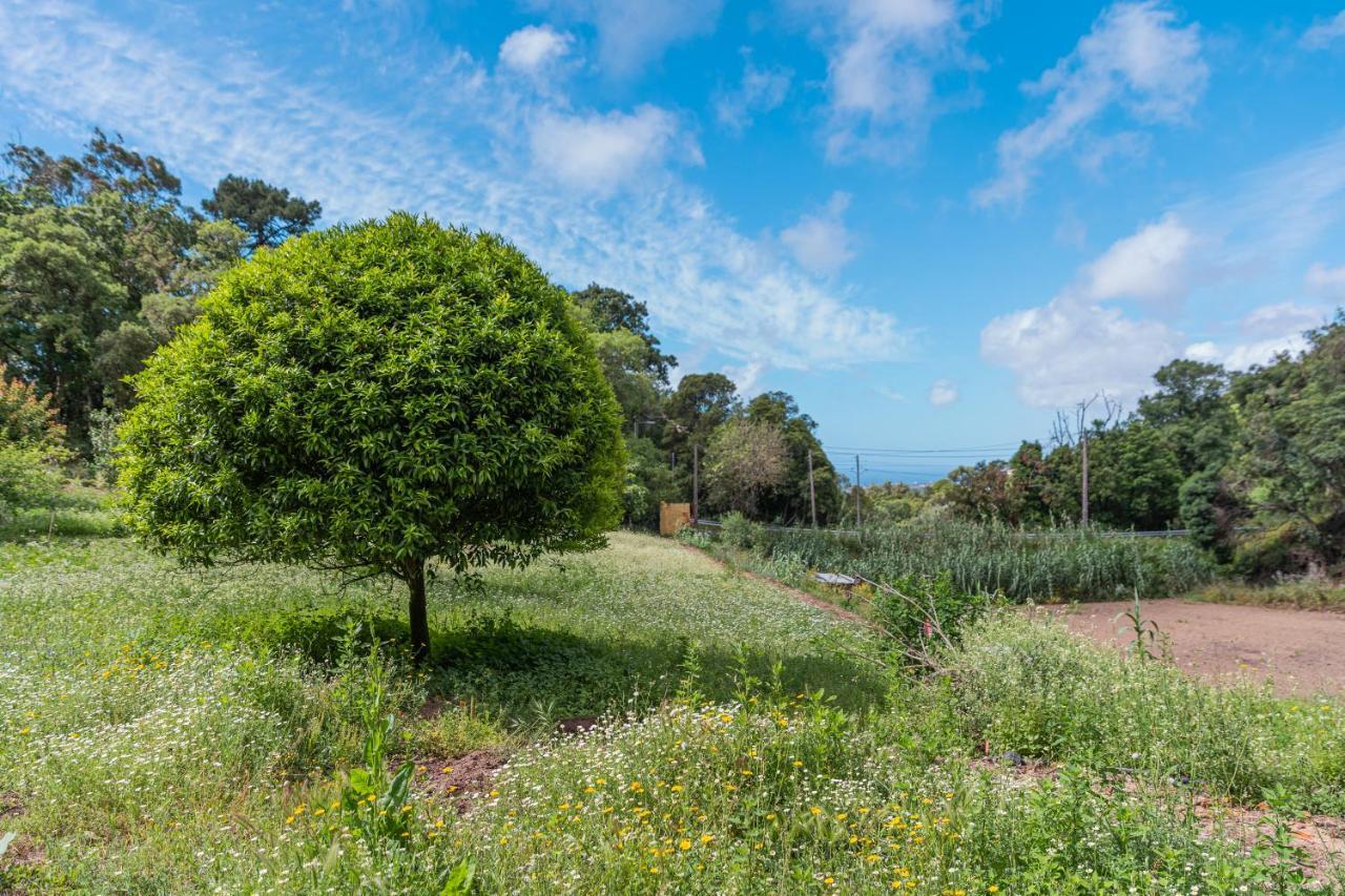 Quinta biológica, com vista, na Serra de Sintra Exterior foto