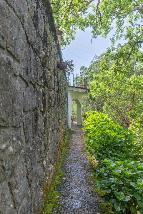 Quinta biológica, com vista, na Serra de Sintra Exterior foto